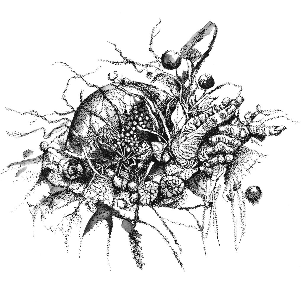 widespread-of-growth---2
